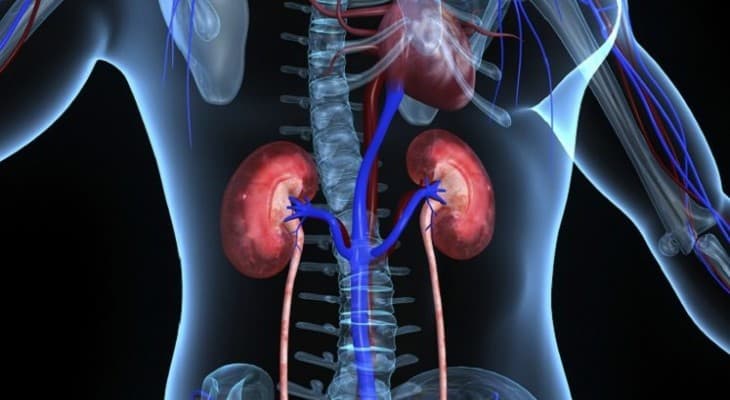 Renal Care